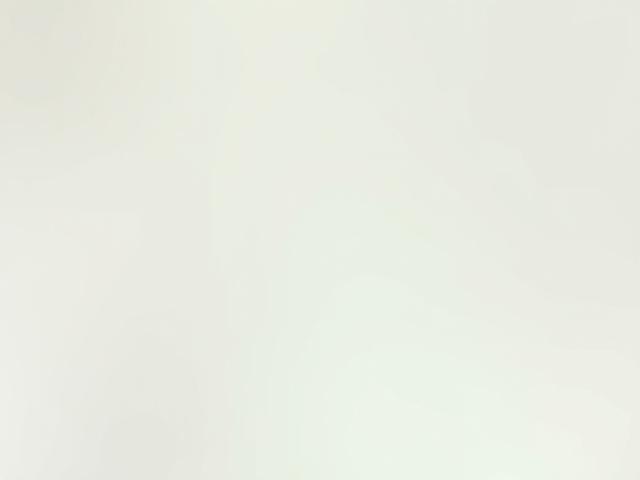 Minimalistische Glasflaschenvase für einzelne Blumen